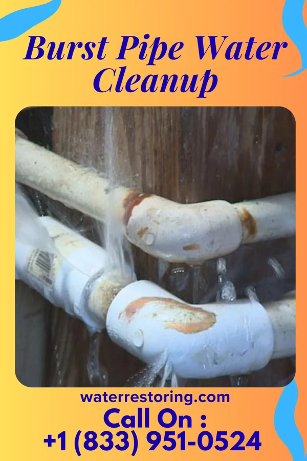 Burst Pipe Water Cleanup in Fontanelle, IA