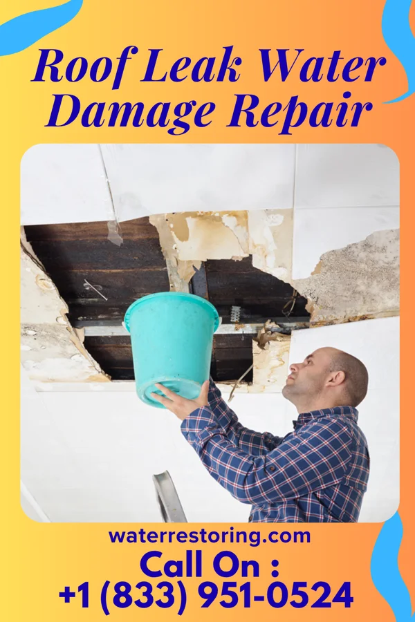 Roof Leak Water Damage Repair in Fontanelle, IA