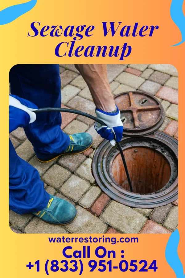 Sewage Water Cleanup in Fontanelle, IA